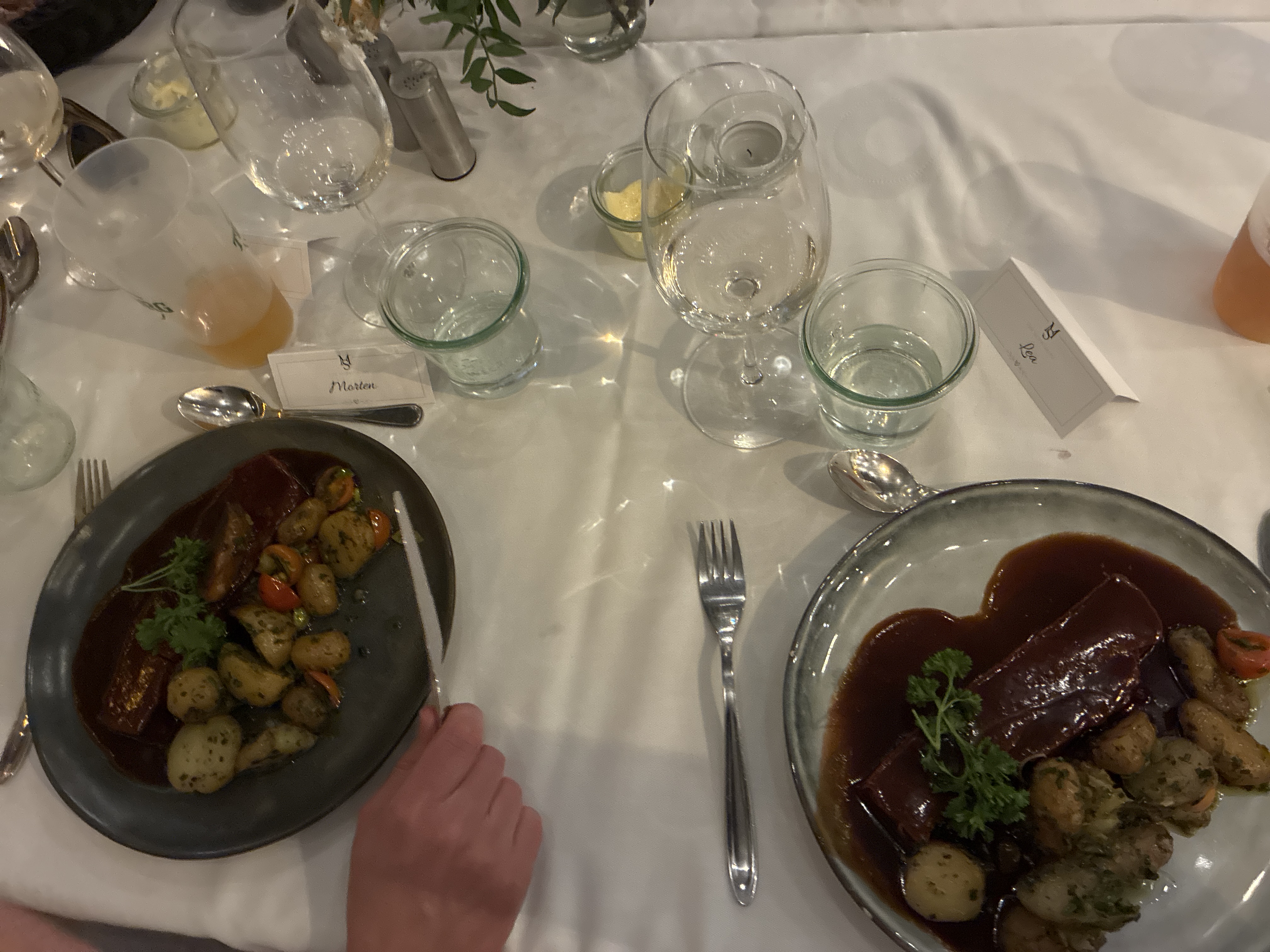 Gæstebillede
